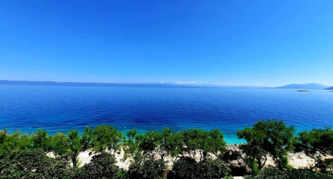 Blueness Apartment *